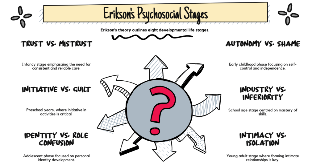 Erik Erikson's Psychosocial Development