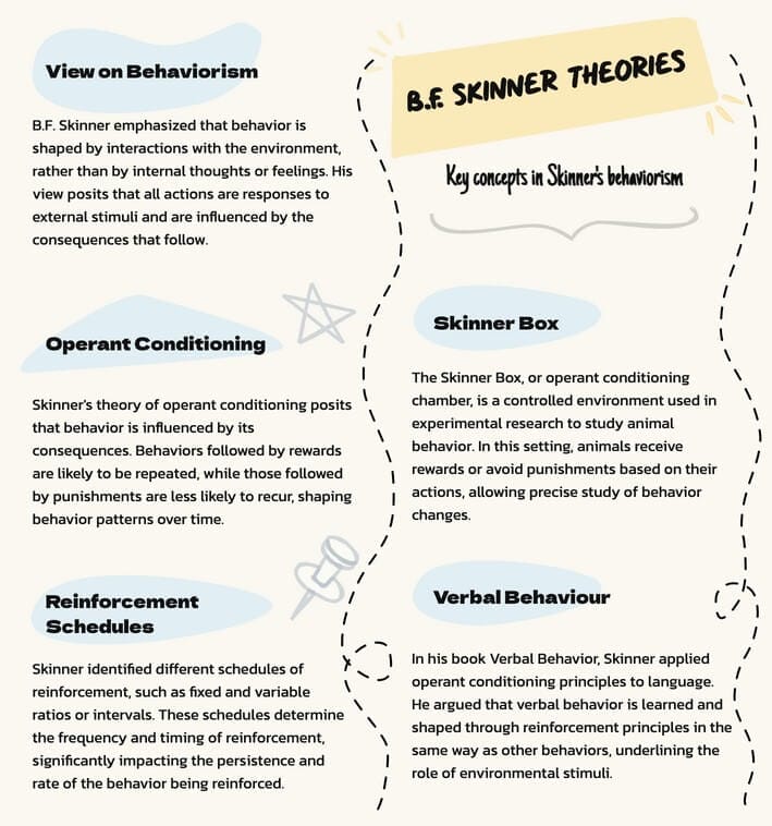 B.F. Skinner Theories